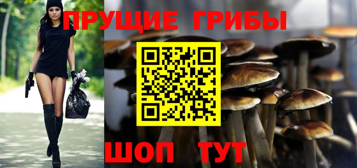 Псилоцибиновые грибы Cubensis  Вход с VPN  Богданович  цена наркотик  Галлюциногенные грибы прущие грибы 